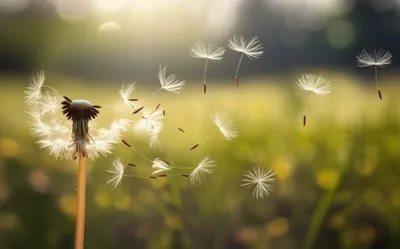 Illustration breathed - Image 1