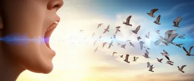 Illustration natural - Image 1