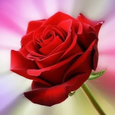 Illustration essence - Image 1