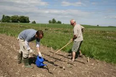 Illustration cultivation - Image 2