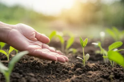 Illustration prod - Image 1