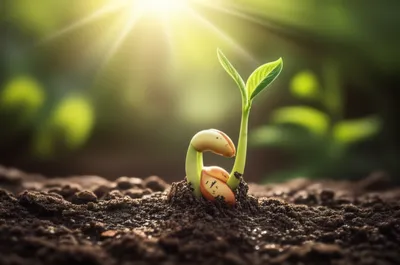 Visuelle Darstellung für das Wort „occurs" - Vorkommen, geschehen