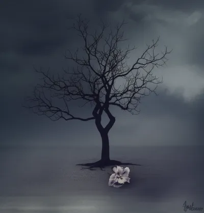 Illustration pined - Image 1