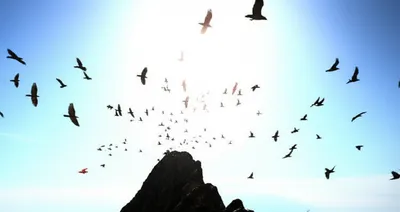 Illustration ascending