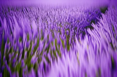 Illustration breathed - Image 1