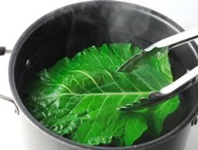 Illustration blanch - Image 2