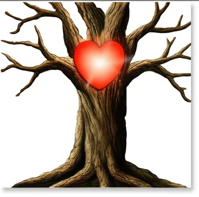 Illustration cadres - Image 1