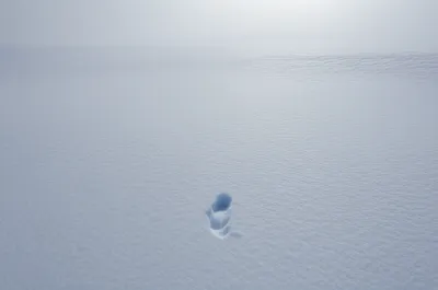 Illustration remote - Image 1