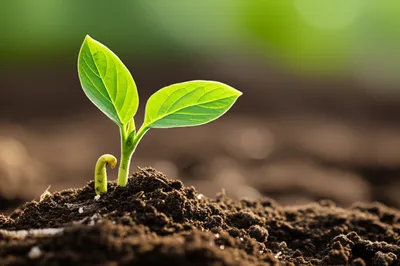 Illustration young - Image 1