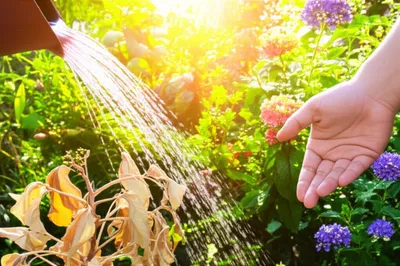 Illustration recruiting - Image 1