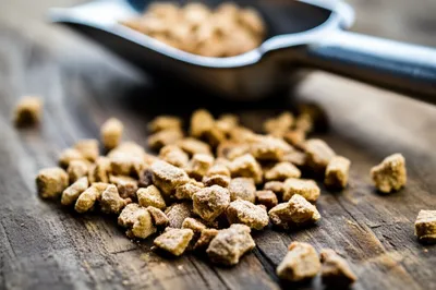 Illustration kibble - Image 1