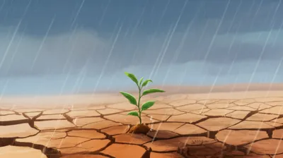 Illustration allayed - Image 1