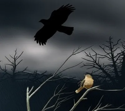 Illustration threatened - Image 1