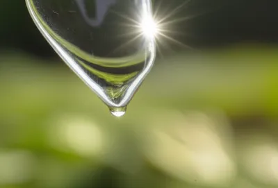 Illustration distillate - Image 1