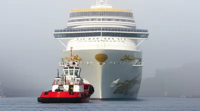 Illustration steers - Image 1