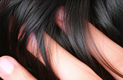 Illustration tousle - Image 1