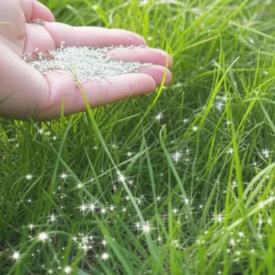 Illustration seeding - Image 1