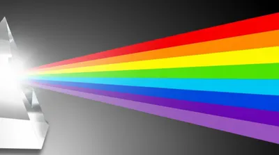 Illustration tonic - Image 1