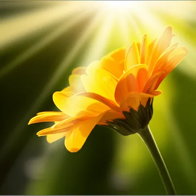 Illustration responses - Image 1