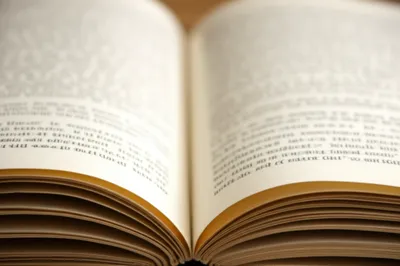 Illustration lf - Image 1