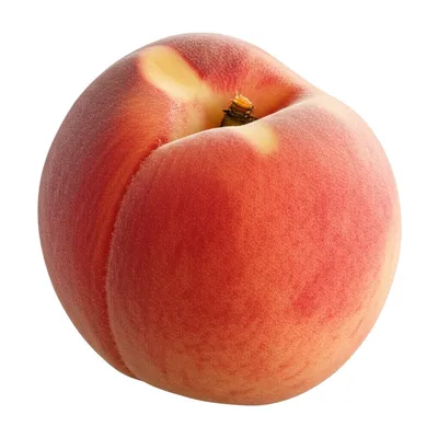 Illustration ripe - Image 1