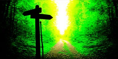 Illustration rede - Image 1