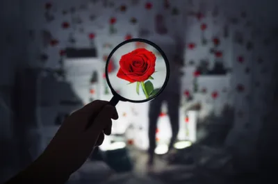 Illustration known - Image 1