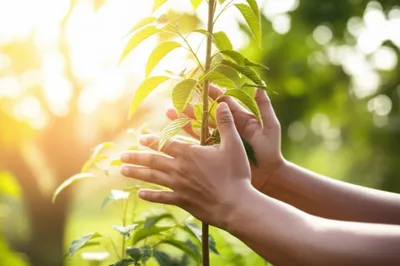 Illustration righting - Image 1