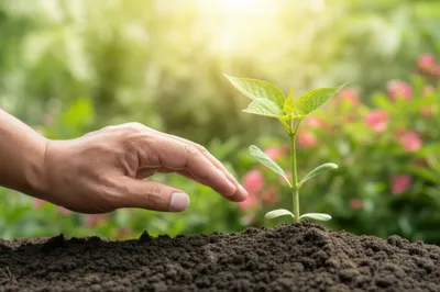 Illustration endorsed