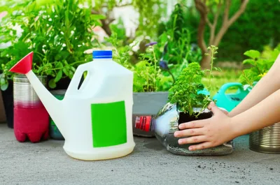 Hình ảnh minh họa reusing - Ảnh 1