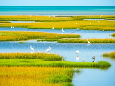 Illustration salts - Image 1