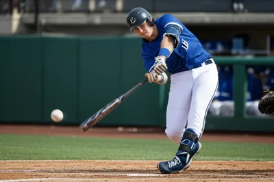 Illustration bunting - Image 1