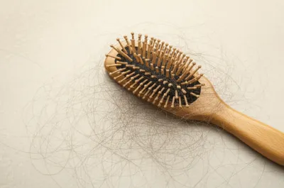 Illustration combing - Image 1