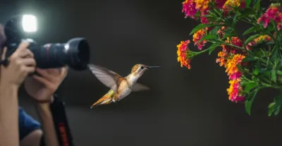 Illustration snapping - Image 1