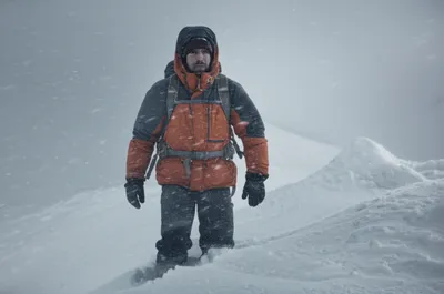 Illustration fur - Image 1