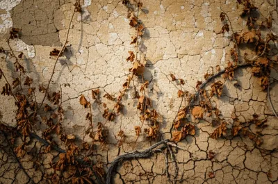 Illustration clinging - Image 1