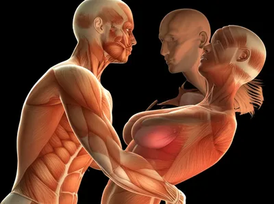 Illustration dicking - Image 1