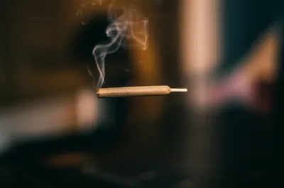 Illustration torpedoes - Image 1