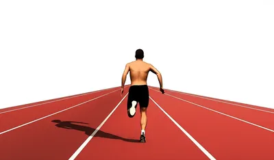 Illustration longitudinal - Image 1