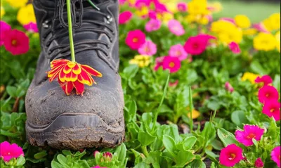 Illustration wrong - Image 1