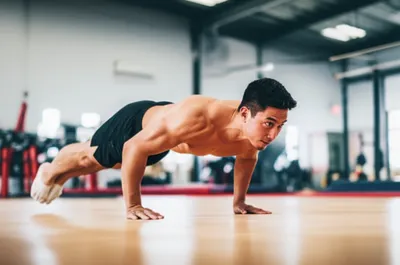 Illustration planches - Image 1