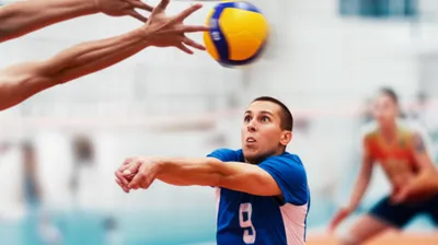 Illustration dig - Image 1