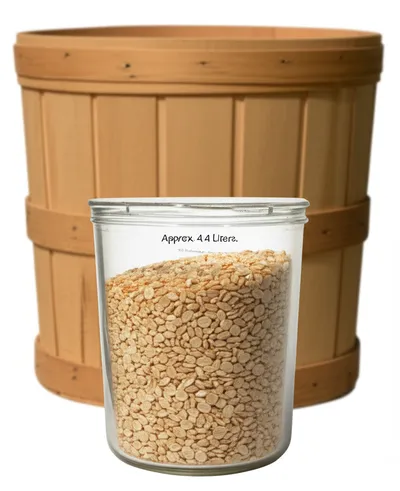 Illustration gals - Image 1