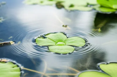 Illustration pads - Image 1