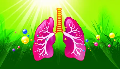 Illustration breathes - Image 1