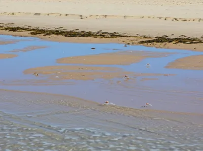 Illustration littoral - Image 1