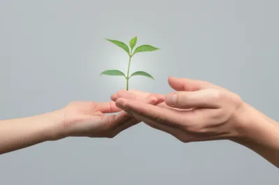 Illustration depositary