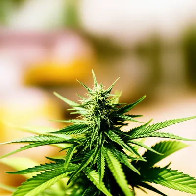 Illustration gage - Image 1