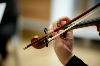 Illustration articulates - Image 1