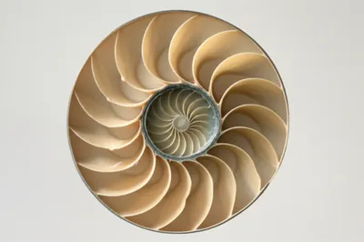 Illustration gyration - Image 1